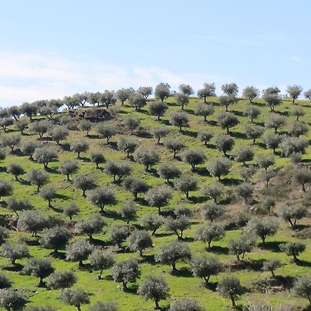 Вілла Agroturismo Casal De Castro Avantos Екстер'єр фото